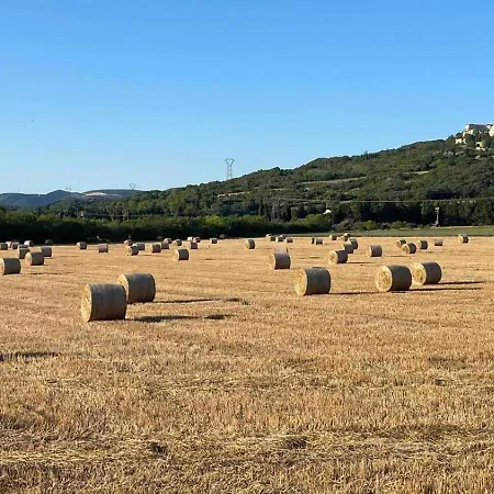 Chez Mi-chele * La Garde-Adhémar